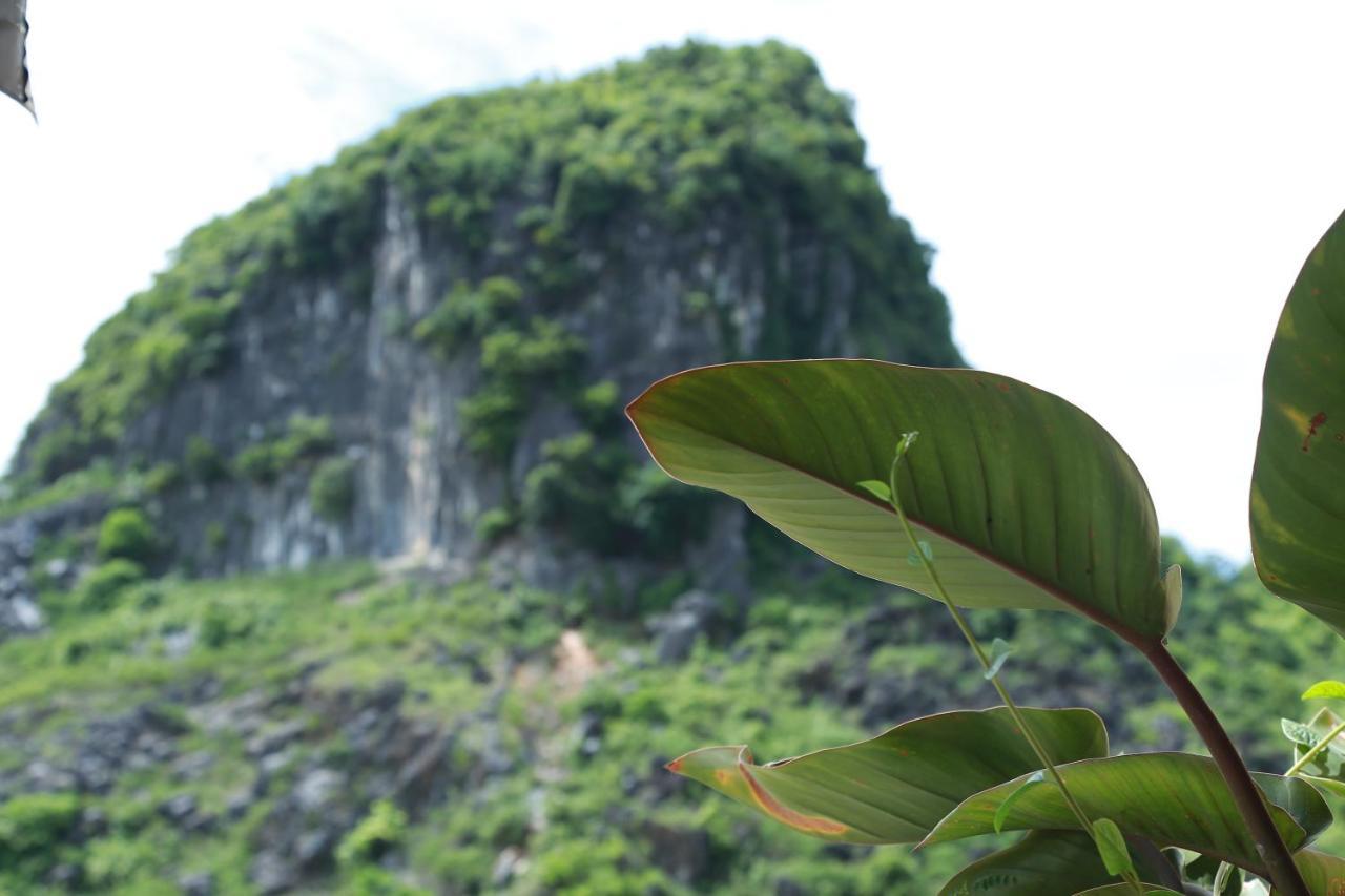 Thanh Phat Phong Nha Hotel Luaran gambar